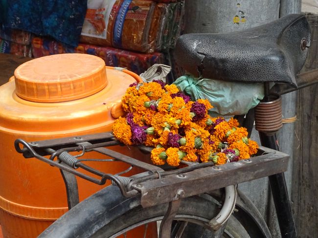 Indischer Blumenkranz