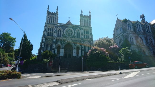 St Joseph's Cathedral Dunedin