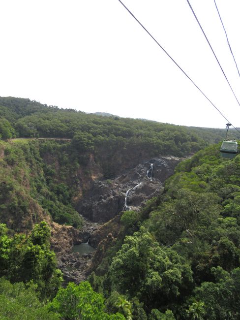 From Cairns by train to the jungle village Kuranda and back with the Skyrail