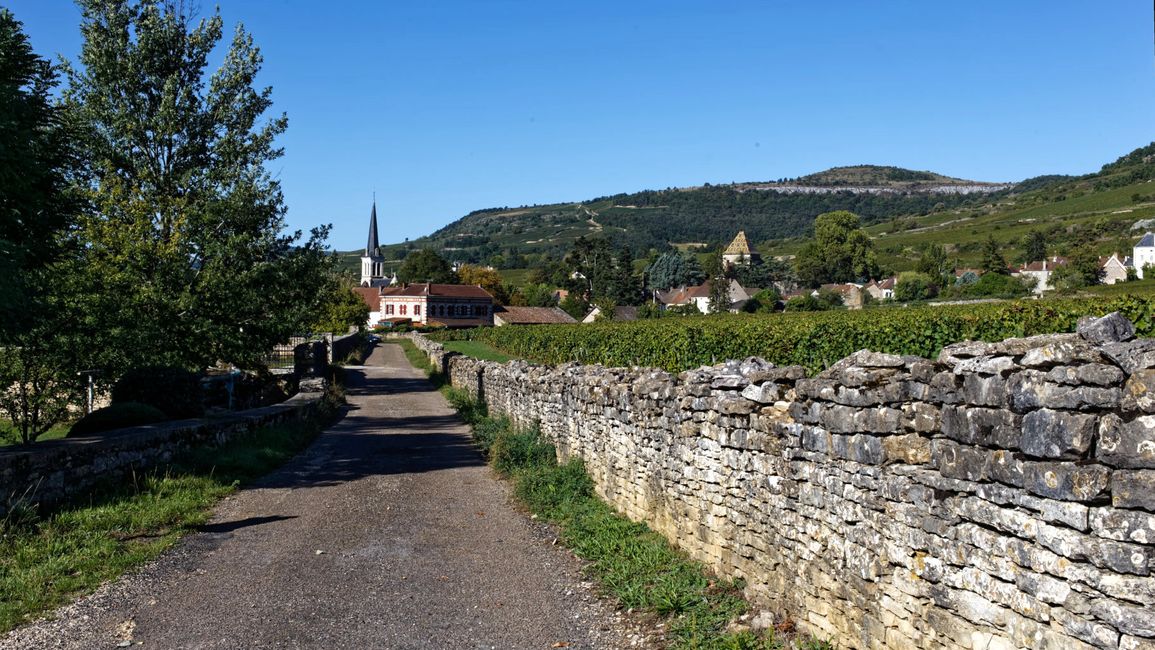 Drink a glass of wine in Puligny-Montrachet