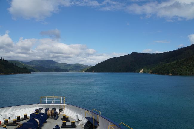 Napier, Wellington und Cook Strait