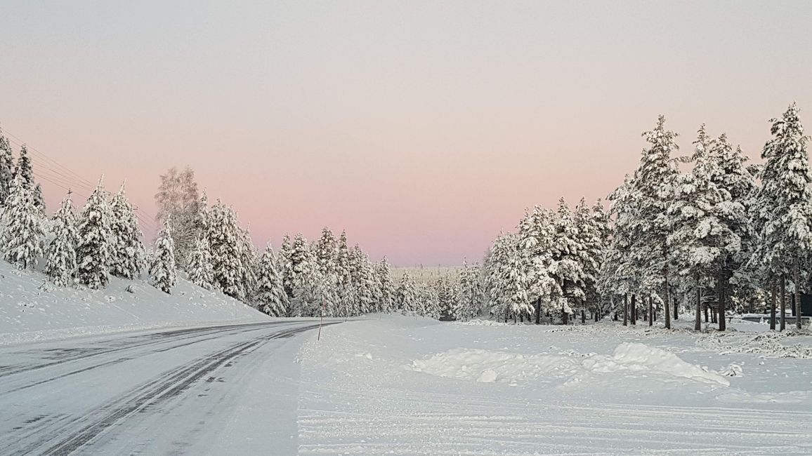 Swedish Lapland November 30 - December 5, 2020