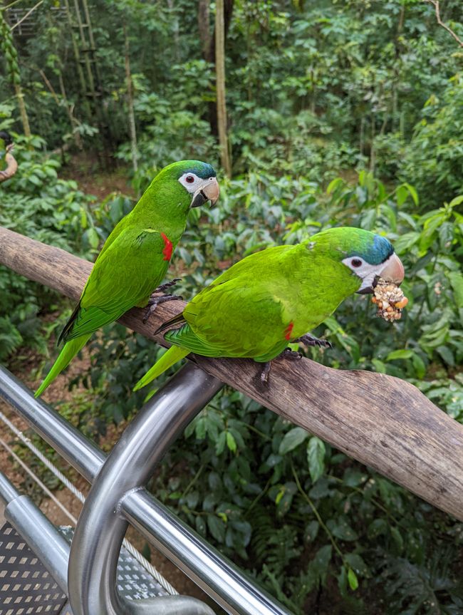07.06.2022 - Vogelpark und Wasserfälle