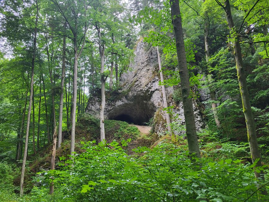 Passeio pelas cavernas em Morávia Karst e Brno