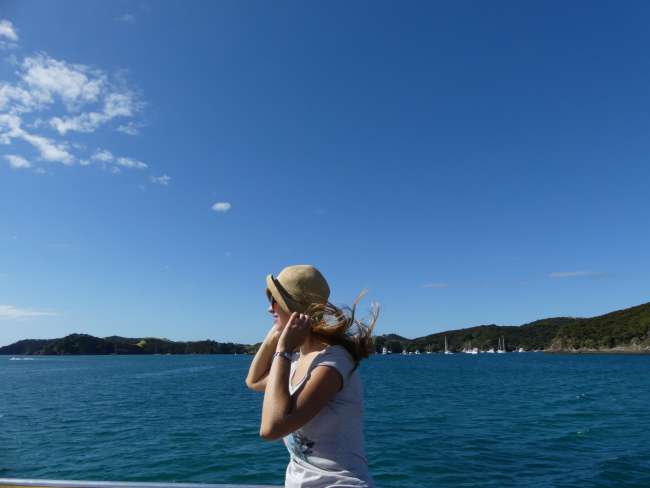 Boating in the Bay of Islands