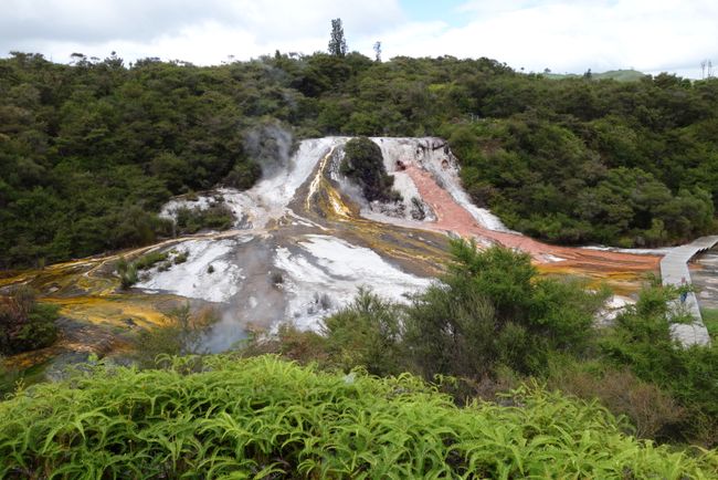 Tag 14 • Tongariro Nationalpark (Whakapapa) - Rotorua