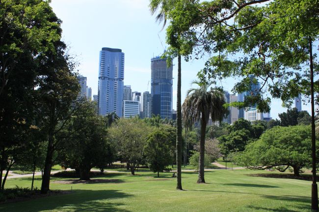 View of the City from the Botanic Gardens