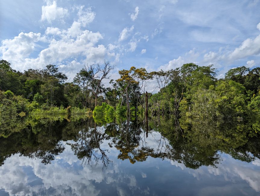 3. Tag im Amazonas-Dschungel
