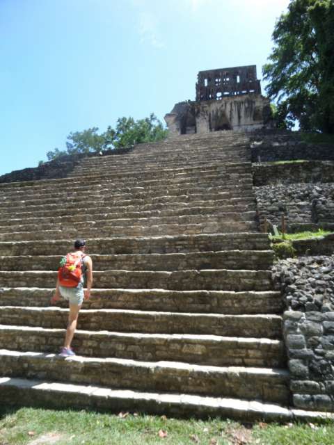 Palenque / Merida