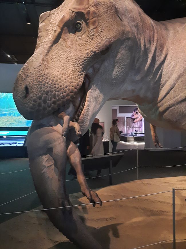 Dinos im Royal British Columbia Museum in Victoria.