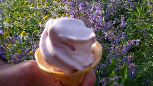 ...lavender ice cream...