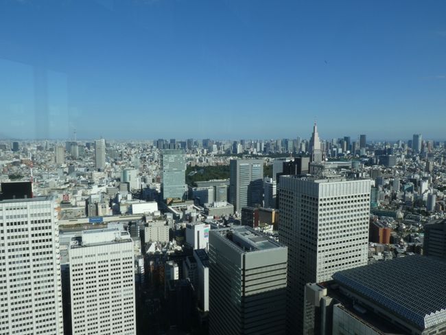 Tokyo - Skyline from the Metropolitan Tower