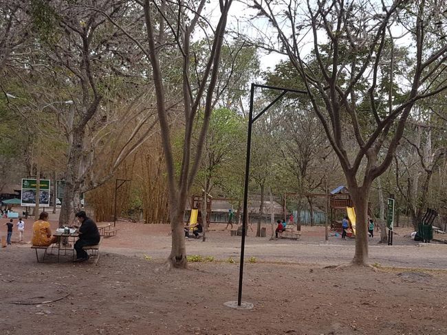 Park auf dem Cerro Juana A. Laines