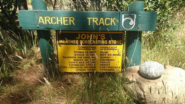 Archer Track 