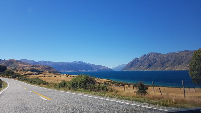 Wanaka Pictures