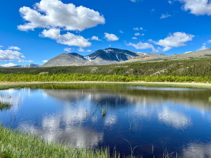 On the 'Rondane' scenic route