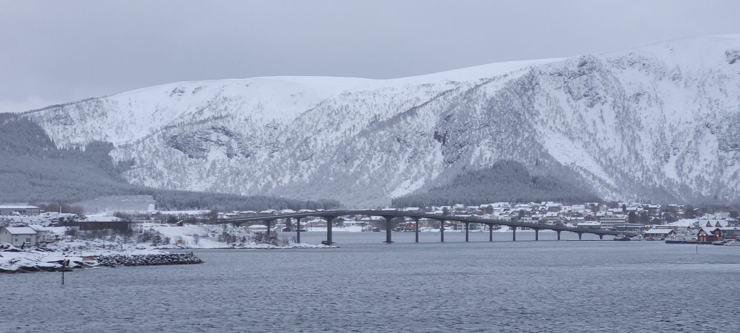 1-14 February 2023 Hurtigruten
Coast 9 February