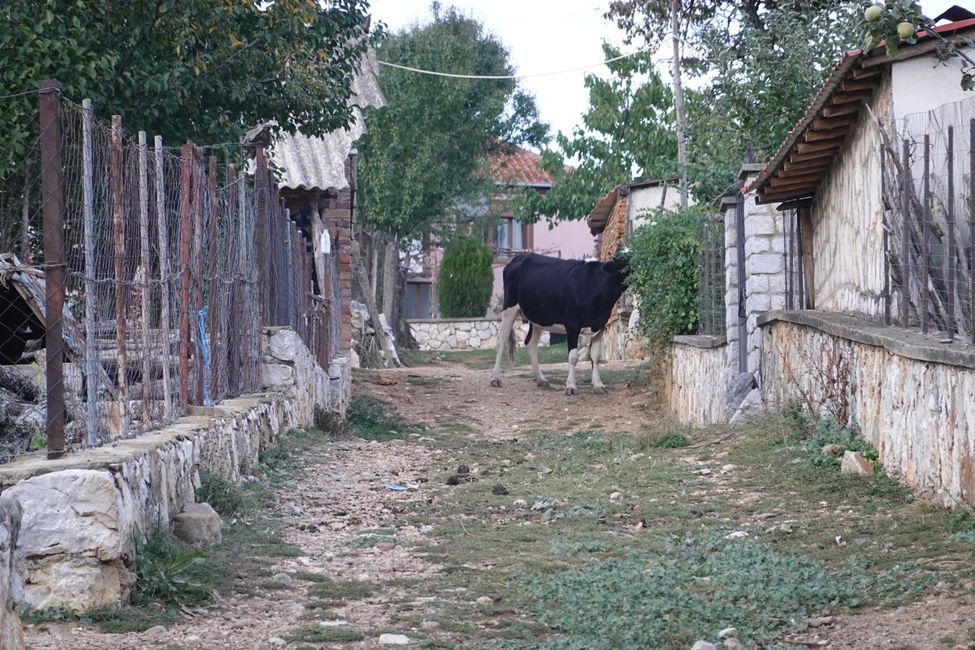 ದಿನ 74 ರಿಂದ 76 ರವರೆಗೆ Goricë e Vogël, North Macedonia, ವಿದಾಯ, ಪಕ್ಷಿಸಂಚಾರ... ಮತ್ತು ಸಾಕಷ್ಟು ಕತ್ತೆಗಳು