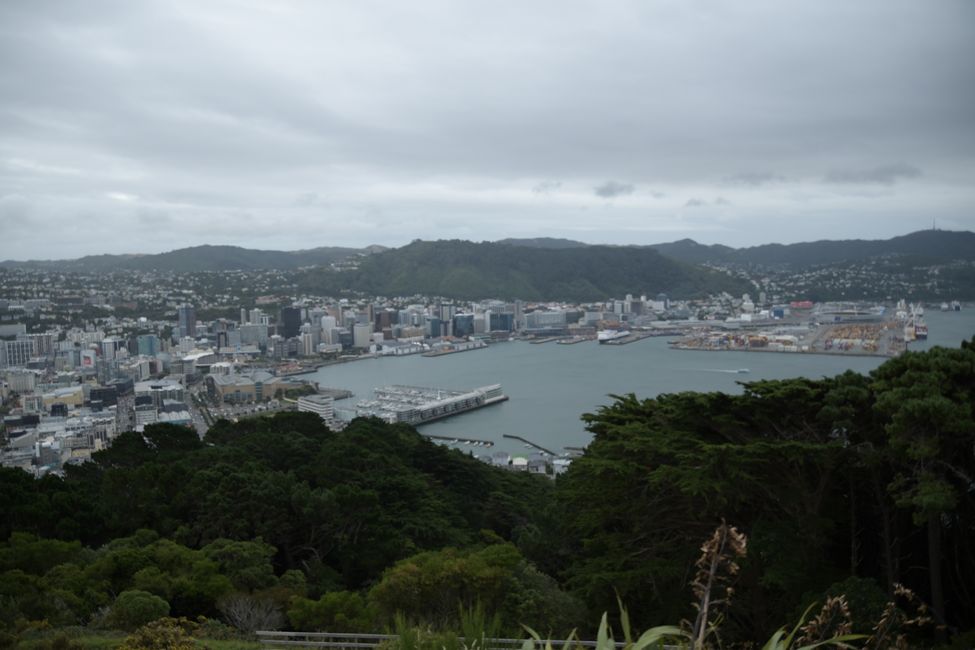 Wellington - Blick vom Victoria Hill