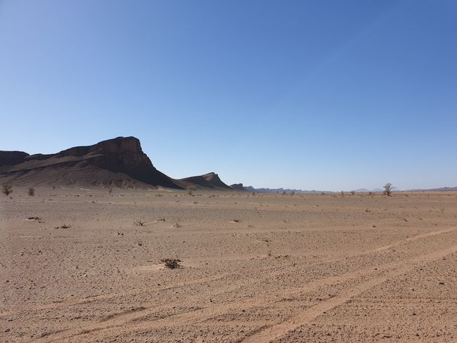 Desert Offroad 2.0