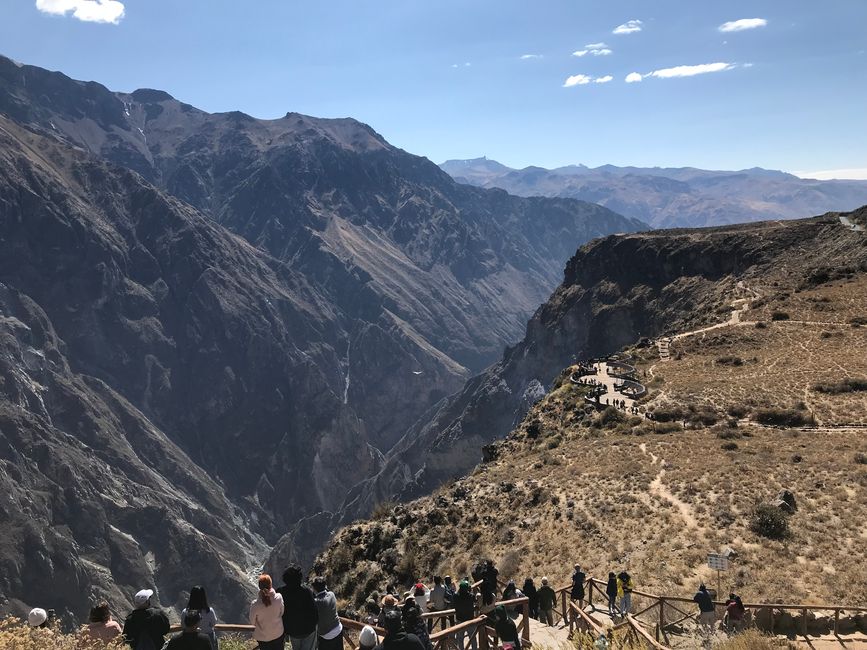 Canyon de Colca, Condor view point