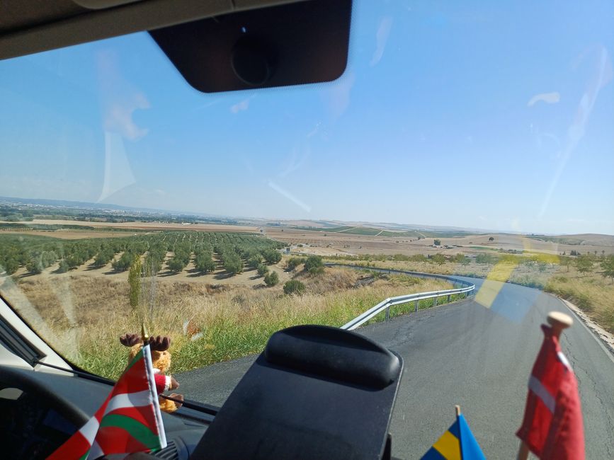 Further across fields and olive groves and in the distance is Cordoba