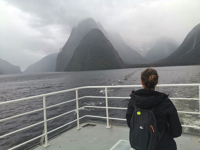 22.11.2019 Milford Sounds