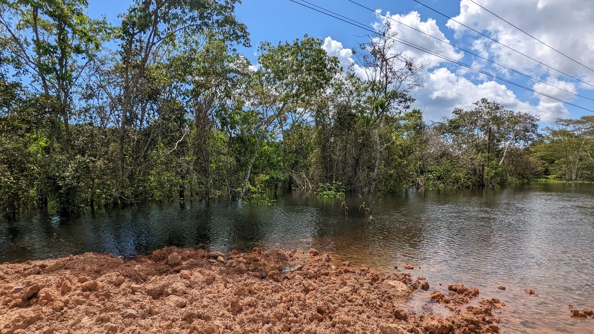 1. Tag Amazonas Dschungel