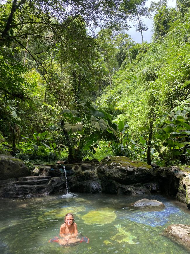 Ang rainforest