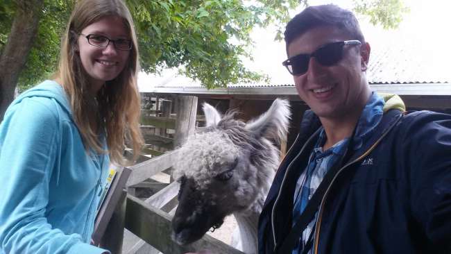 Selfie mit dem Lama