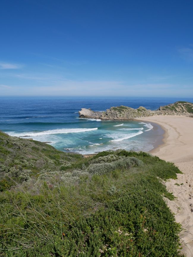 About the Robberg Nature Reserve to Knysna