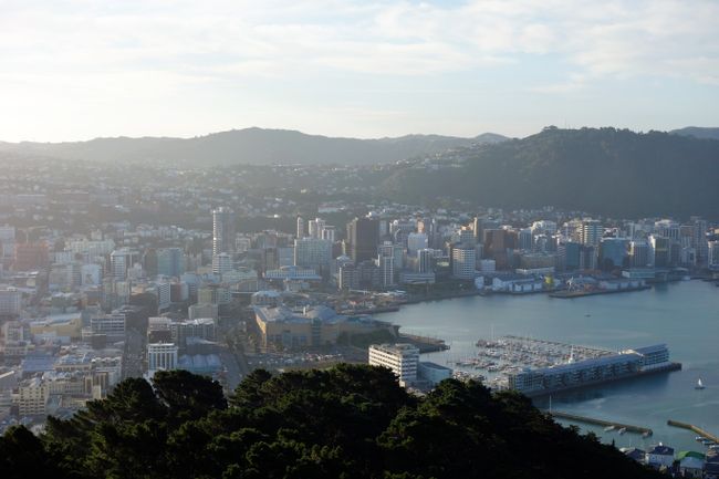 Wellington - View from Mount Victoria