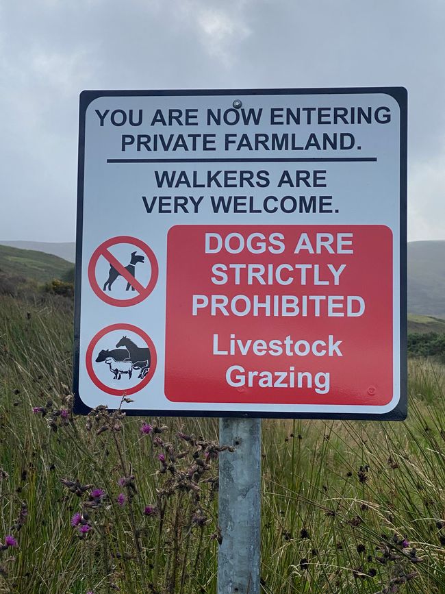Ireland - (Not) a Hiking Paradise with a Dog