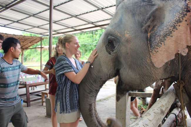 Chiang Mai - Temples, Massages, good food and elephants