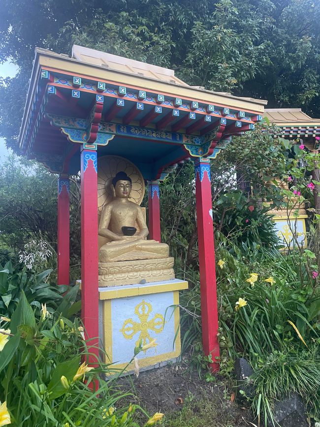 2.-3-Woche: Dorje Chang buddhistisches Zentrum