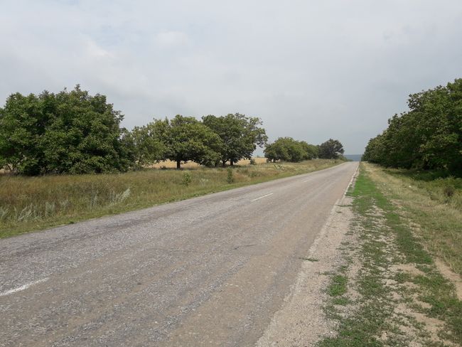 Country road to Oneşti