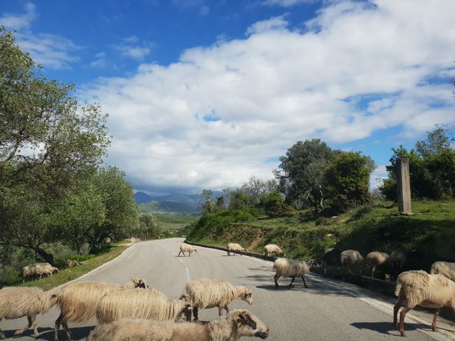Leute fahrt in den Süden Albaniens ♡