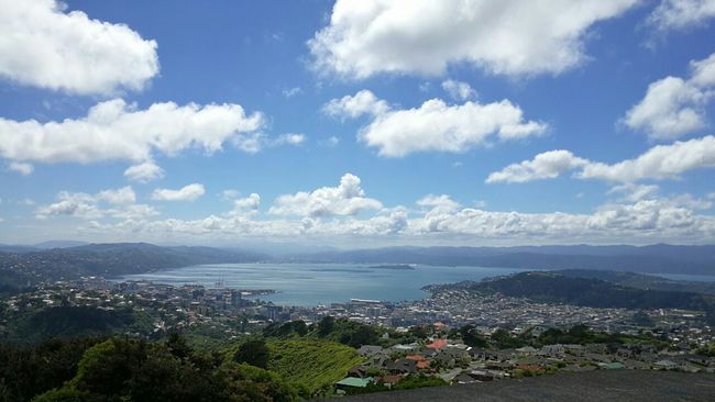 Aussichtspunkt am Windrad, Wellington