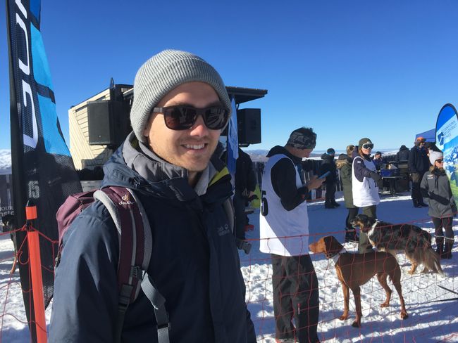 Queenstown's Winter Festival: Dog races in the snow, heli bungee jumps, and lots of music