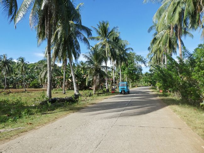 Ostrov Bohol, Filipíny