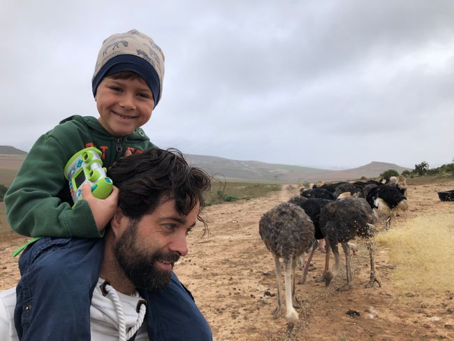 Paarl, Little Karoo and Skeiding Farm