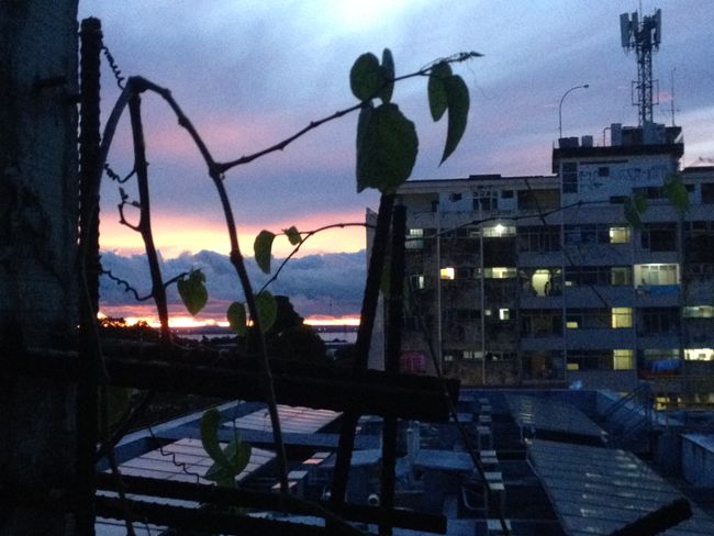 Brasilien: Manaus