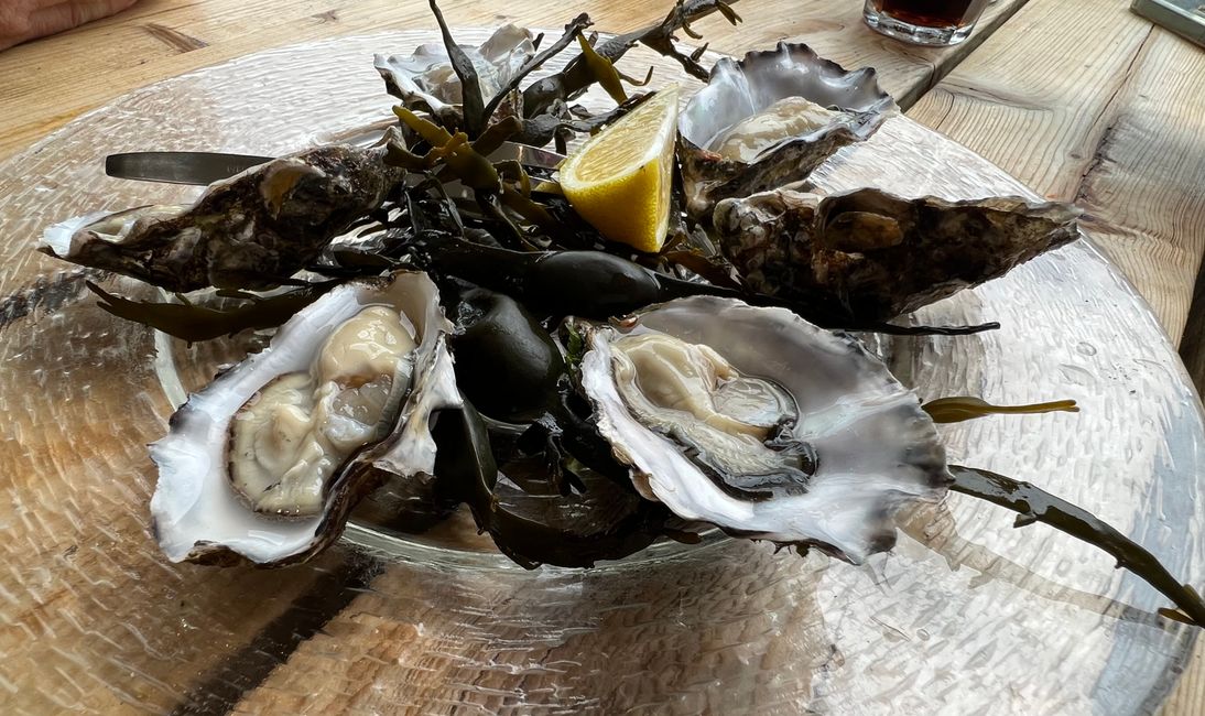 Oysters… what else in Yerseke!