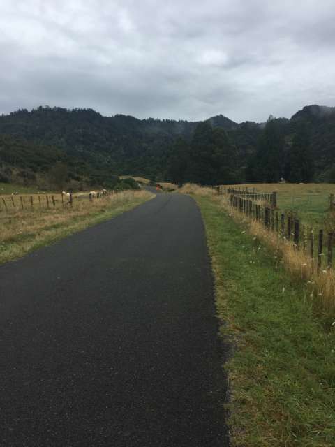 Day 20 - Rain in Whanganui