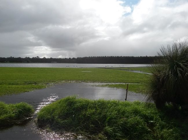 Due to the heavy rain showers, meadows turn into lakes
