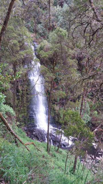 Erskine Waterfall in the Otway National Park