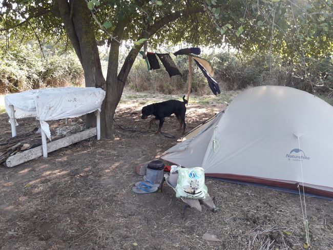 campsite prepared