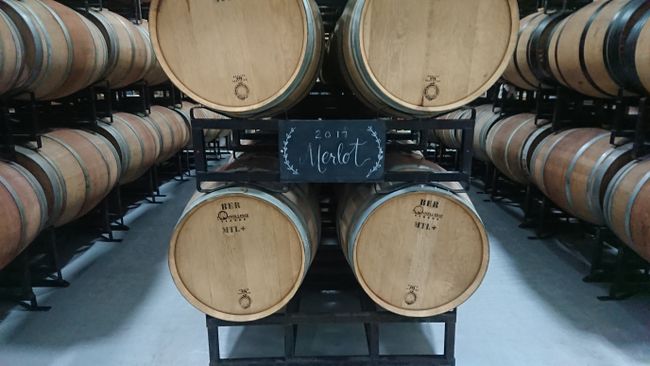 Wine barrels in the cellar of Lakeview winery