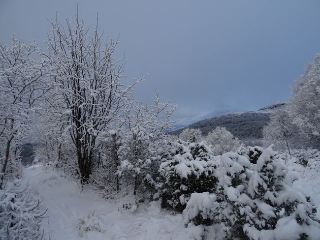 1st December, 1st Advent, 1st winter hike