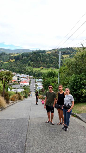 Steilste Straße der Welt in Dunedin 
